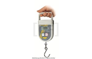 Electronic hanging scale